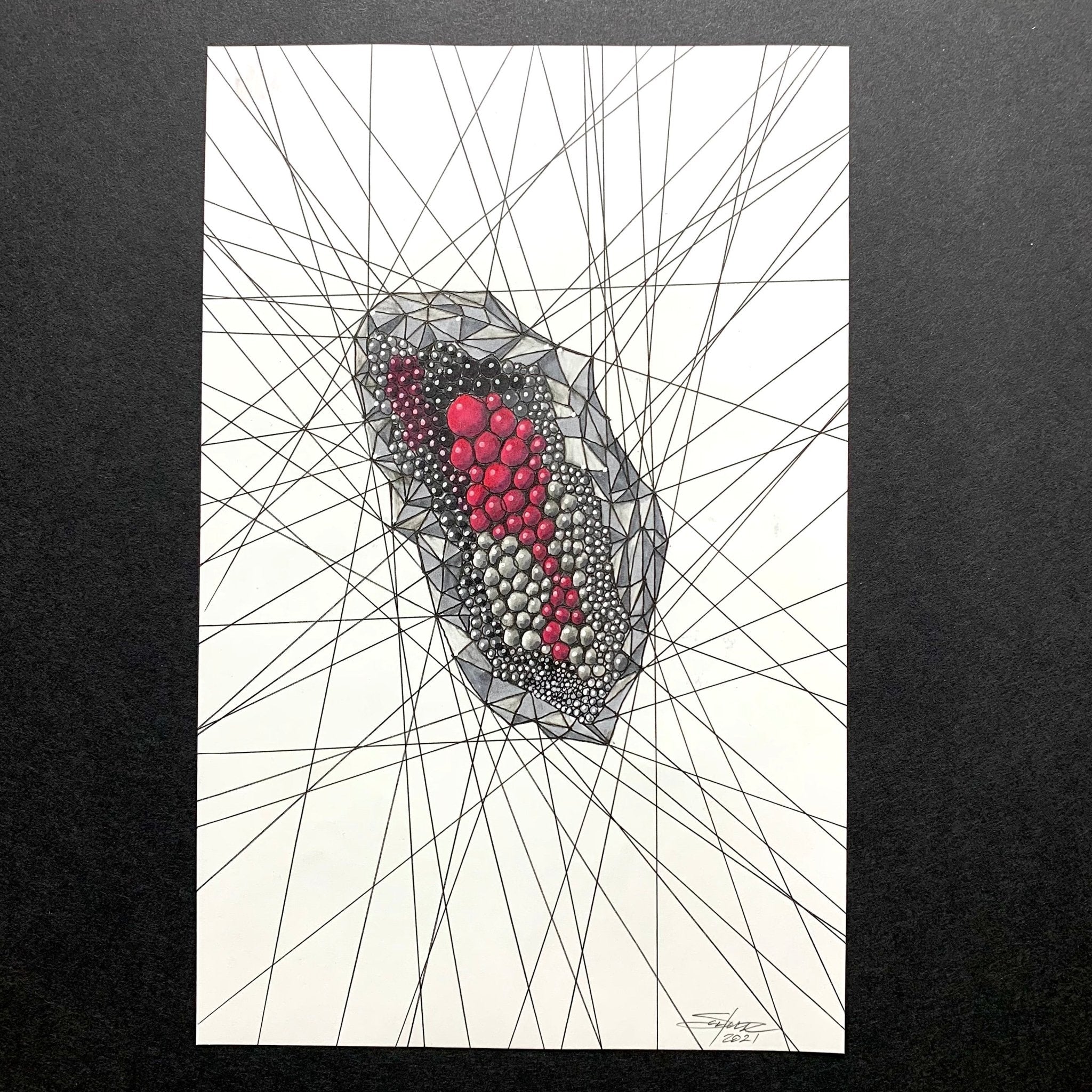 oothecaethish-ideation-v1-original-art