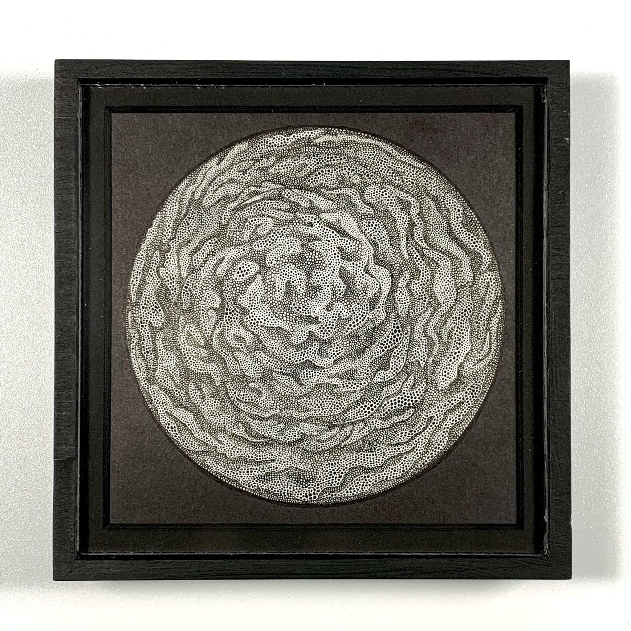 sphaerafluctus-framed-original-art