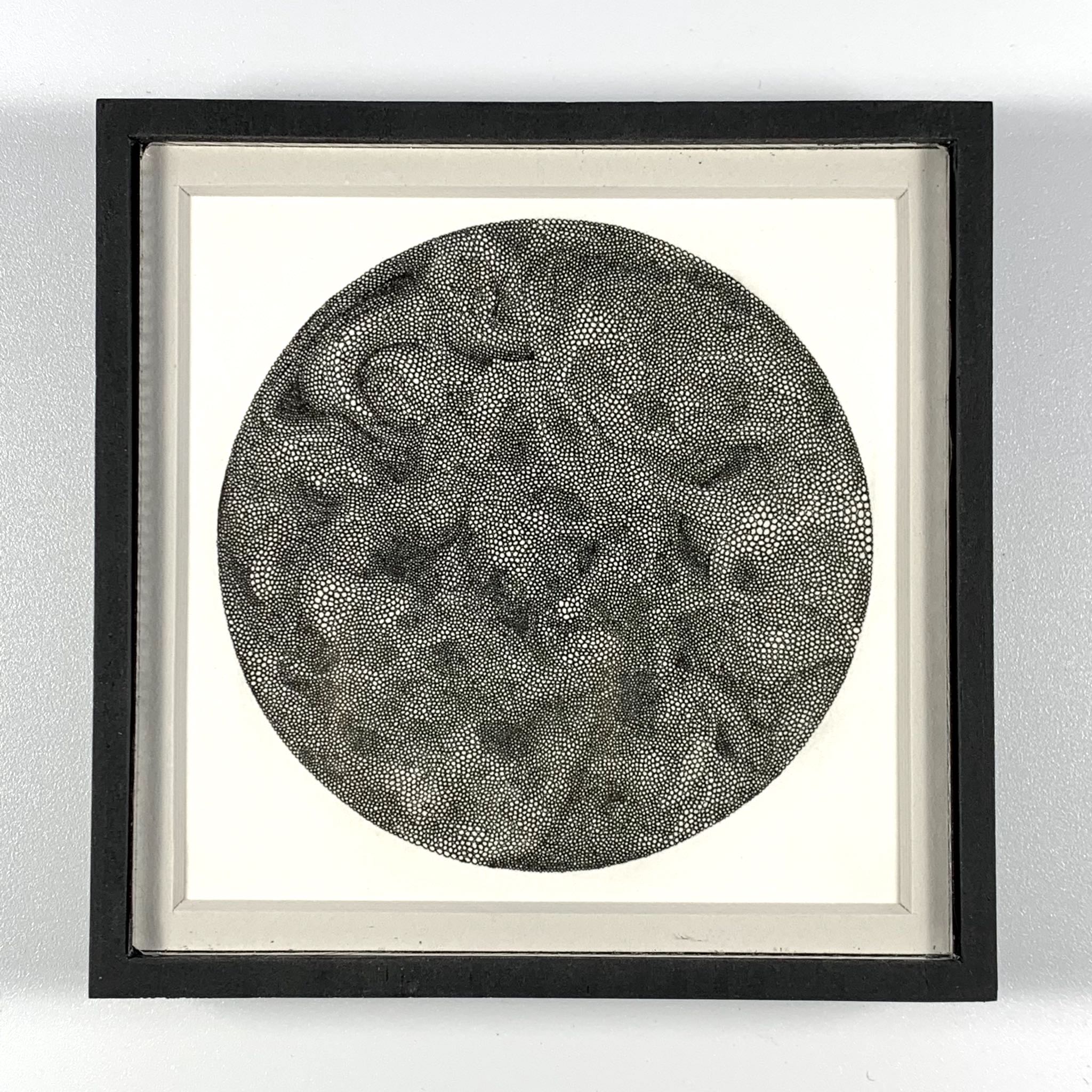 sphaerasphaeras-framed-original-art