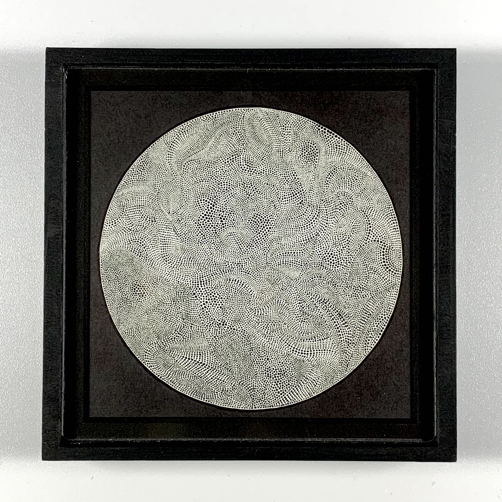 sphaeraturbela-framed-original-art